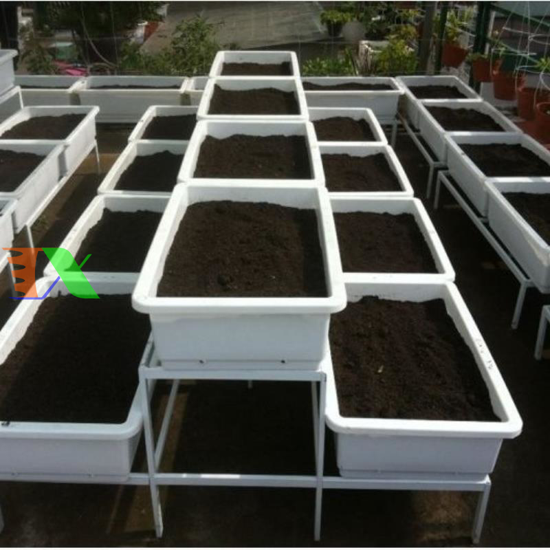 Khay, Chậu Thông Minh cỡ lớn (Trắng sâu)