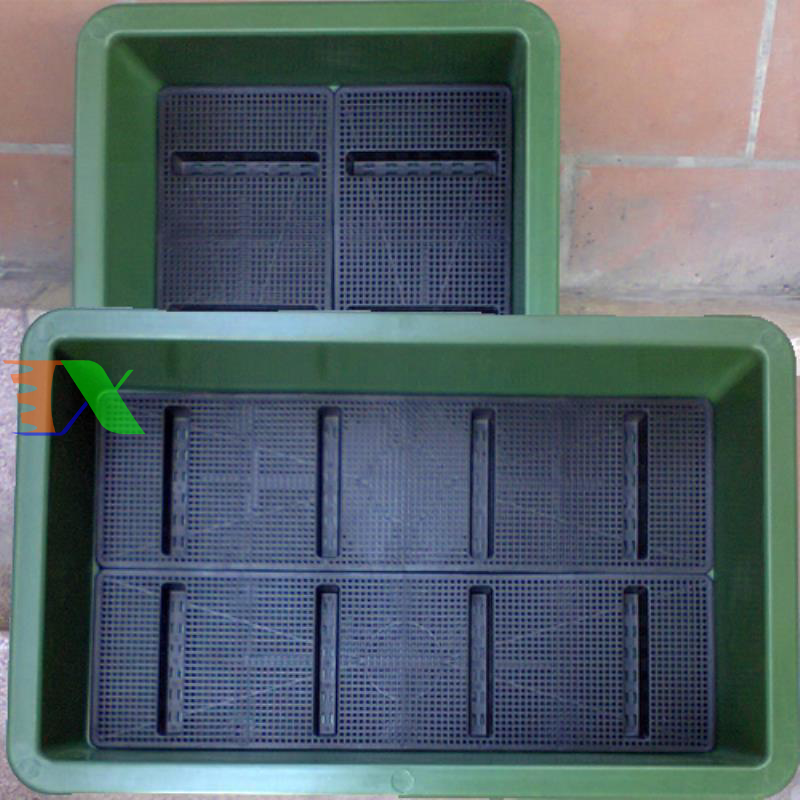 Chậu trồng rau sạch