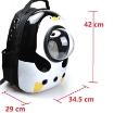 Ảnh của Ba lô Vận chuyển Chó Mèo BLO-PET, Ba lô phi hành gia cho Thú cưng Vật nuôi, Thanh Lý