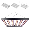 รูปภาพของ Đèn trồng cây Lượng tử DBL5000, Led grow lights chip Samsung 2000W, Đèn trồng rau trong nhà