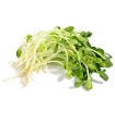Ảnh của Hạt giống rau mầm hướng dương