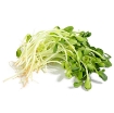 Picture of Hạt giống rau mầm hướng dương - 100g