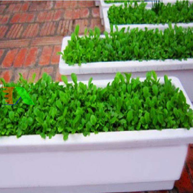 Khay, Chậu Thông Minh cỡ lớn (Trắng)