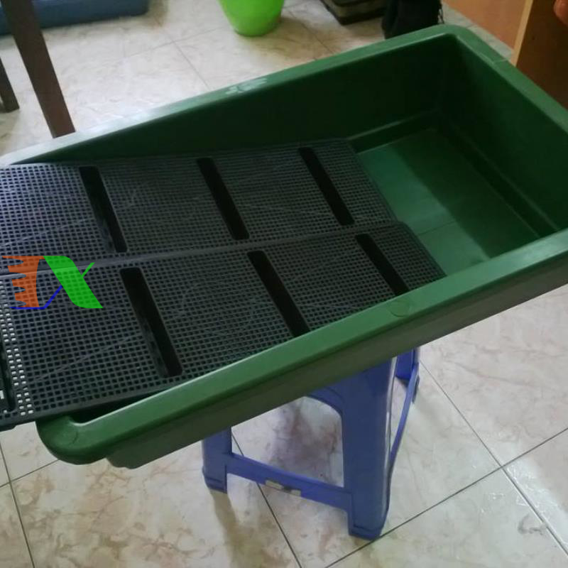 Khay, Chậu Thông Minh cỡ lớn (Xanh)