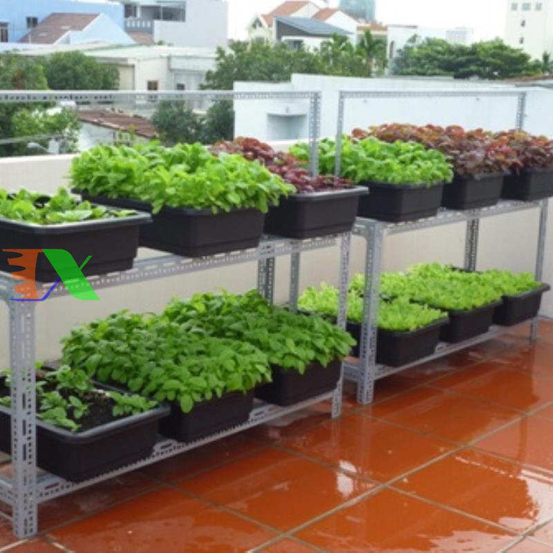 Khay, Chậu Thông Minh cỡ lớn (Xanh)