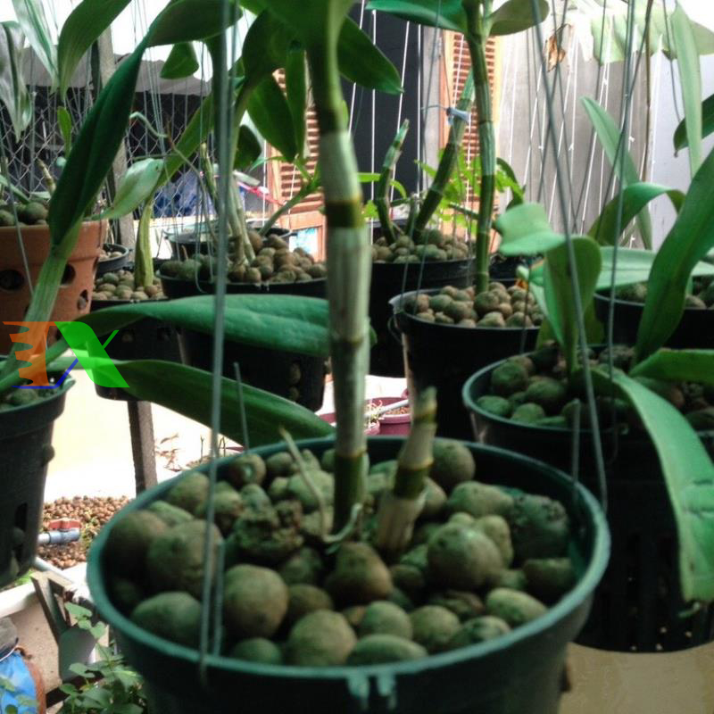 Hạt đất nung, Sỏi nhẹ (hạt nhỏ)