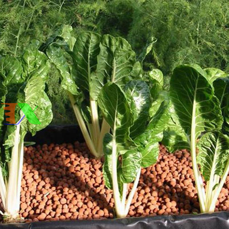 Hạt đất nung, Sỏi nhẹ (hạt nhỏ)