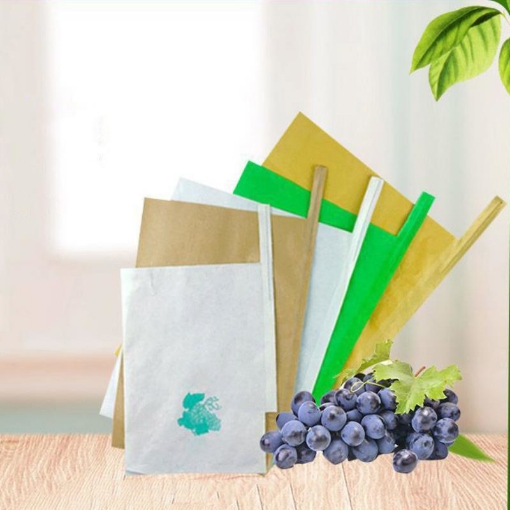 图片 Túi Giấy bảo vệ trái cây FPB.TX 18*20 cm, Túi bọc Xoài, Ổi chống Ong Ruồi vàng côn trùng