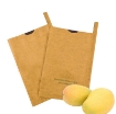 图片 Túi Giấy bảo vệ trái cây FPB.TX 18*20 cm, Túi bọc Xoài, Ổi chống Ong Ruồi vàng côn trùng