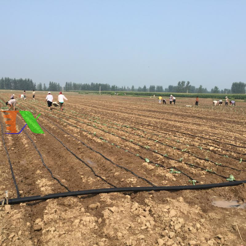 Nối thẳng cho ống PE Φ16 (16mm)