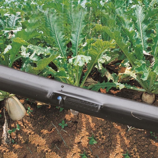 รูปภาพของ Dây tưới nhỏ giọt 1602.15.2L, Băng nhỏ giọt bù áp Dây bẹt PE, Mắt 15 cm, Dày 0.2 mm, 1000m