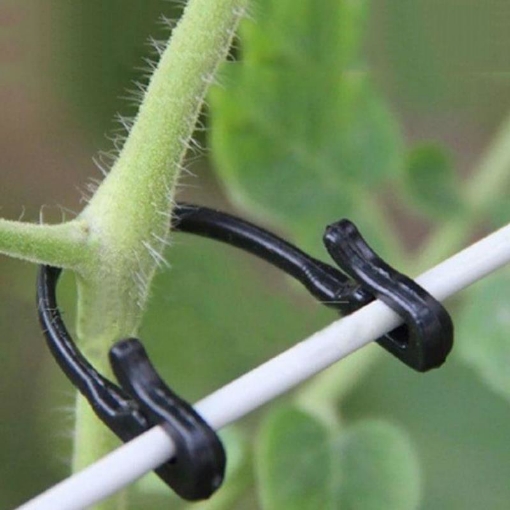 รูปภาพของ Kẹp nhựa cố định cây trồng KDL-2K, Kẹp treo Cà chua Dưa leo,, Kẹp treo trái cây