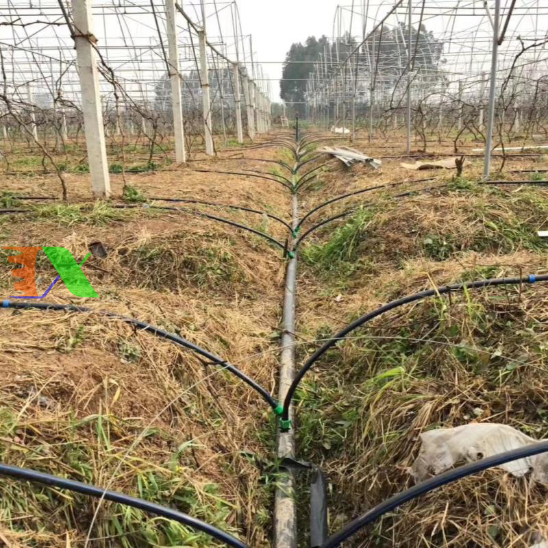 Dây dẫn tưới PE Φ20 (20mm)