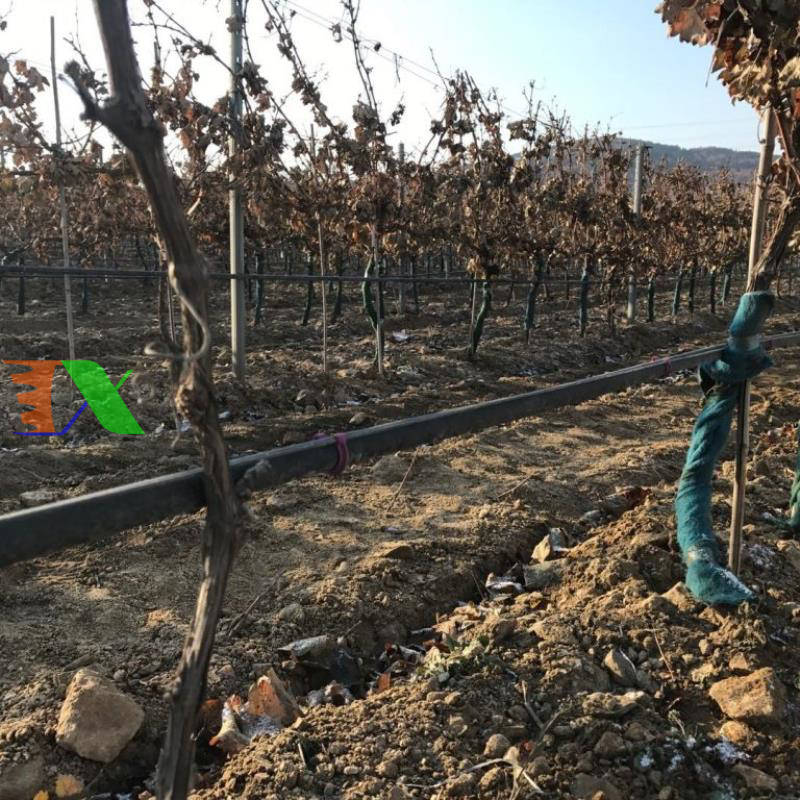 Dây dẫn tưới PE Φ20 (20mm)