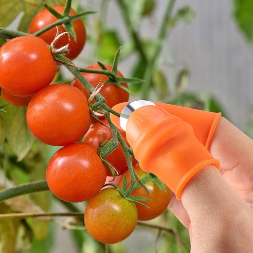 Ảnh của Găng tay hái Rau Củ GTM-5A, Móng tay thép hái quả nhặt rau , Găng tay bảo hộ