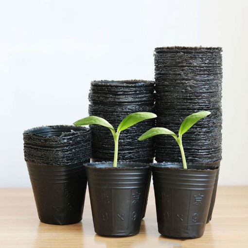 Gambar Bầu nhựa ươm cây BHS8x8, Chậu nhựa trồng và ươm cây giống Bầu Hoa Sen