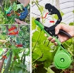 Picture of Máy buộc dây SUCA SC-8108 Dụng cụ buộc Cà chua, Nho, Dưa leo, Dây leo Suca, Buộc cây leo giàn