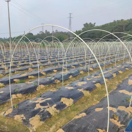 รูปภาพของ Khung vòm trồng rau FRP-X, Nan vòm sợi thủy tinh, Khung màng luống Rau Hoa gieo Mạ