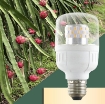 Ảnh của Đèn trồng cây Thanh Long DRG-9W, Đèn led xông Thanh Long, Đèn chiếu sáng Thanh Long
