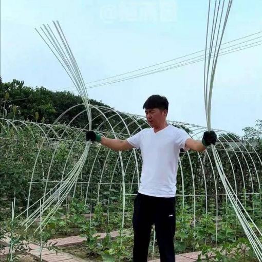 Gambar Khung vòm trồng rau FRP-5X0, Nan vòm sợi thủy tinh, Khung màng luống Rau Hoa gieo Mạ