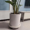 图片 Giá để chậu hoa bằng nhựa DHB-30 cm, Kệ để chậu cây cảnh 4 bánh, Đế chậu cây có bánh xe lăn