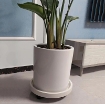 รูปภาพของ Giá để chậu hoa bằng nhựa DHB-36 cm, Kệ để chậu cây cảnh 4 bánh, Đế chậu cây có bánh xe lăn