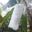 รูปภาพของ Túi vải bọc chuối BFB.TX, Túi bao chuối chuyên dụng, Túi vải địa kỹ thuật
