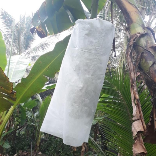 รูปภาพของ Túi vải bọc chuối BFB.TX, Túi bao chuối chuyên dụng, Túi vải địa kỹ thuật