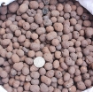 Picture of Sỏi nhẹ, Hạt đất sét nung, Viên sỏi hạt trung bình 10-15 mm, Expanded clay pebbles