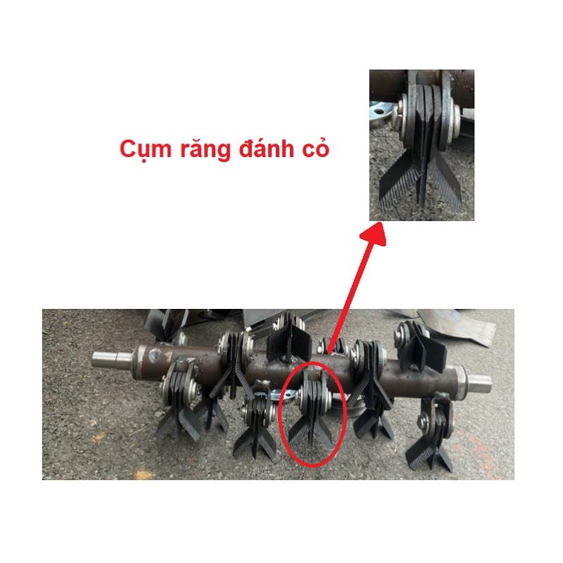 Cụm đánh cỏ C2D-5040 [+180,000đ]