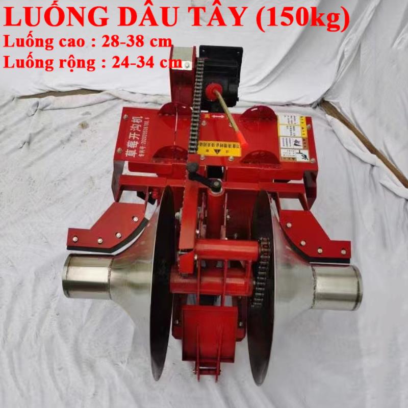 Lên luống Dâu Tây [+21,000,000đ]