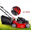 Ảnh của Máy cắt cỏ XH-21, Chạy xăng 4 kỳ, Máy cắt cỏ Sân vận động Sân golf