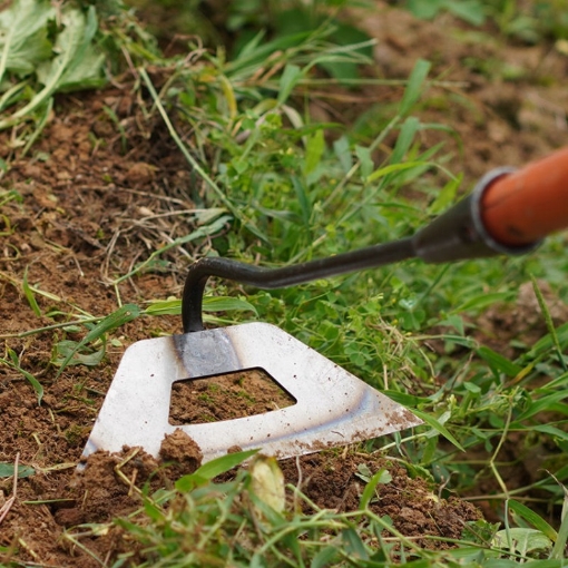 Gambar Cuốc xới đất CN-22, Dụng cụ làm tơi xốp đất, Nạo cỏ trên đất