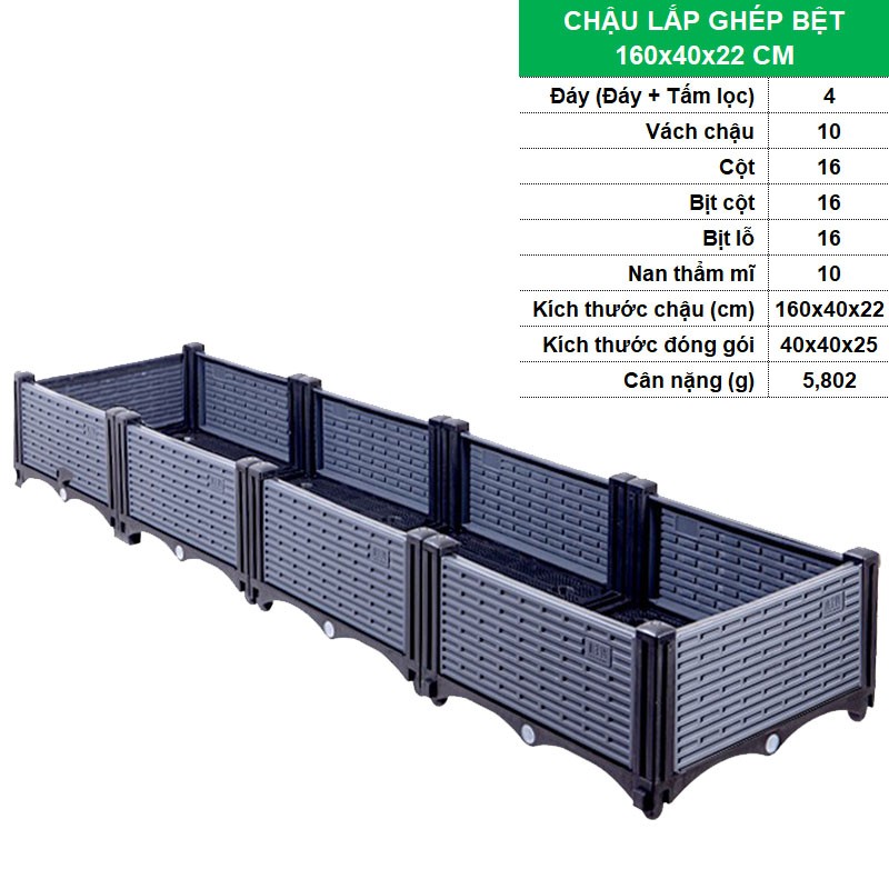 BỆT 160x40x22 CM [+449.000đ]