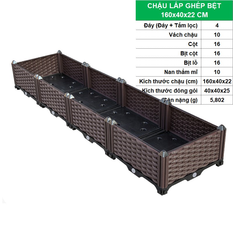 BỆT 160x40x22 CM [+515.000đ]