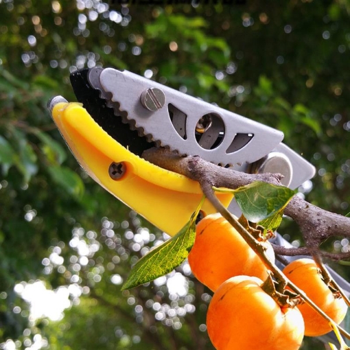 图片 Dụng cụ hái quả HQ-5M, Sào hái trái cây trên cao có kẹp giữ dạng kéo 5m