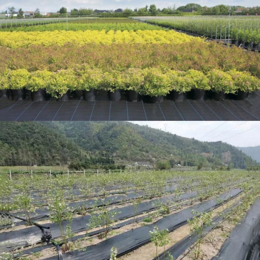 รูปภาพของ Bạt phủ nông nghiệp 90Gram Rộng 2.5m Dài 100m, Bạt giữ ẩm cho đất chống cỏ dại PP-90G