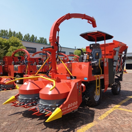 Ảnh của Máy thu hoạch Ngô sinh khối 4QZ-1600, Băm thân băm hạt ủ chua cho gia súc