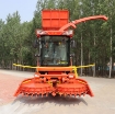 รูปภาพของ Máy thu hoạch Ngô sinh khối 4QZ-3000, Máy gặt thức ăn tươi cho gia súc