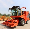 รูปภาพของ Máy thu hoạch Ngô sinh khối 4QZ-3000, Máy gặt thức ăn tươi cho gia súc