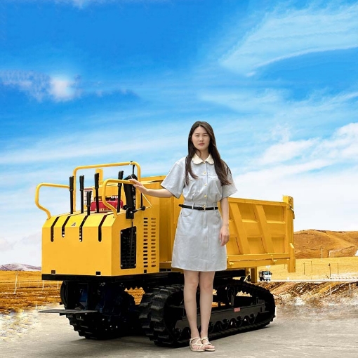 Ảnh của Xe vận tải hàng hóa bánh xích D219, Xe vận tải nông sản 2 tấn tự đổ ben