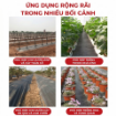 Ảnh của Bạt Phủ Chống Cỏ, Bạt Phủ Nông Nghiệp Có Thấm Nước, Vải Giữ Đất Ẩm Cho Cây Trồng