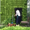 Ảnh của Túi trồng cây treo tường TT-1010, Túi làm vườn tường trang trí, Kích thước 1x1m