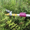 Ảnh của Dụng cụ hái quả 3M-4M, Sào hái trái cây trên cao có kẹp giữ, Nhãn, Vải