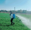 Ảnh của Ắc quy khô, Ắc quy chì-axit kín khí 12V 8Ah, Bình ắc quy cho Máy bơm xịt điện,  Bình phun thuốc