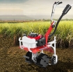 Ảnh của Động cơ xăng 4 kỳ CX-150, Động cơ máy xới dắt tay, Động cơ máy bơm, Thuyền