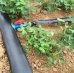 Ảnh của Ống dẫn nước mềm N80x50.PIPE.072, Dây PE mềm dày 0.72mm dùng dẫn nước tưới cây , m dài