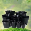 Ảnh của Bầu nhựa ươm cây BHS8x8, Chậu nhựa trồng và ươm cây giống Bầu Hoa Sen -  Bao