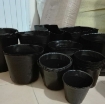 Ảnh của Bầu nhựa ươm cây BHS8x8, Chậu nhựa trồng và ươm cây giống Bầu Hoa Sen -  Bao