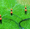 Ảnh của Dây dẫn tưới PVC Φ8/11, Dây tưới 10 ly, Ống nước 10 mm, Dây tưới nước phun nước (mét dài)
